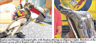 Article Image Alt Text